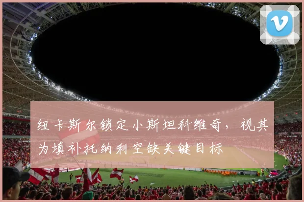 纽卡斯尔锁定小斯坦科维奇，视其为填补托纳利空缺关键目标