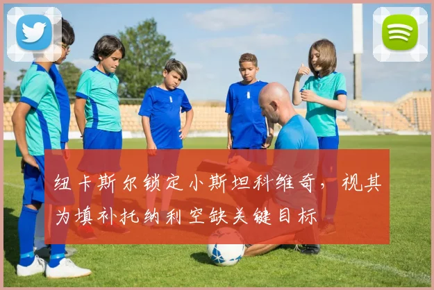 纽卡斯尔锁定小斯坦科维奇，视其为填补托纳利空缺关键目标